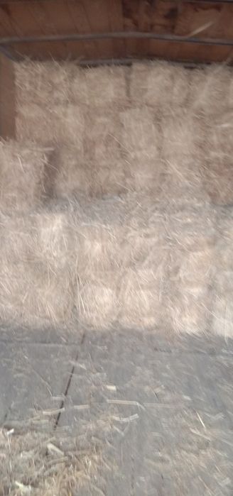 Шоп сатылады багасы 1300 тг