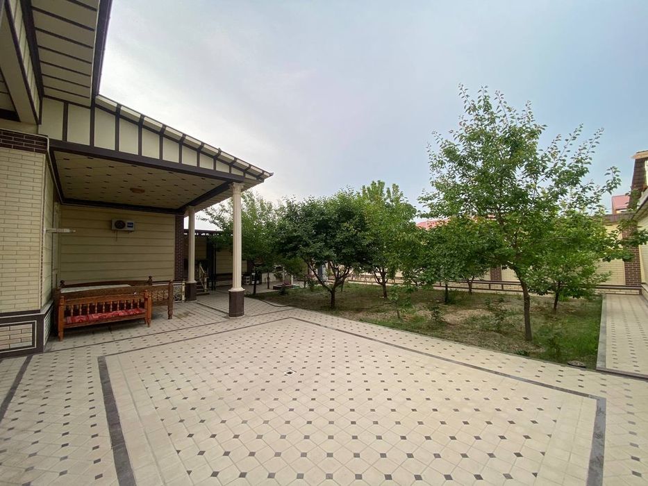 Kotej sotiladi mindonobod