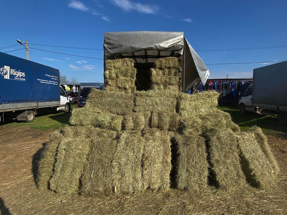 Baloți de Fân Otavă lucernă