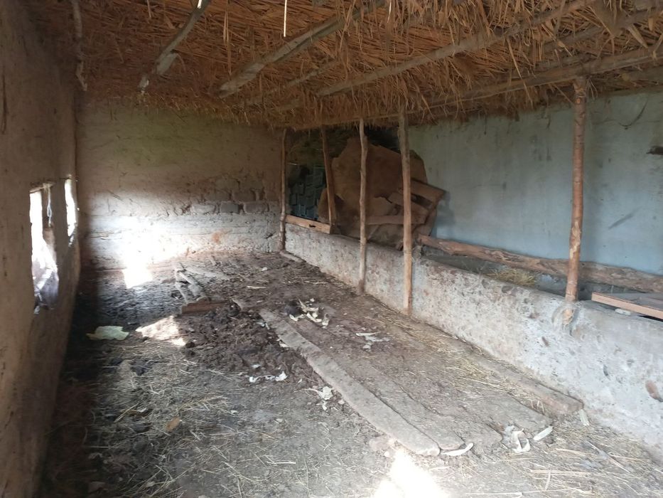 Platina tarafda. Uchaska sotiladi 16.5 sotix