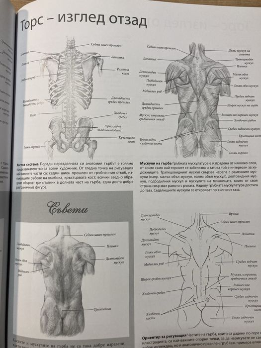 Книга-наръчник за рисуване