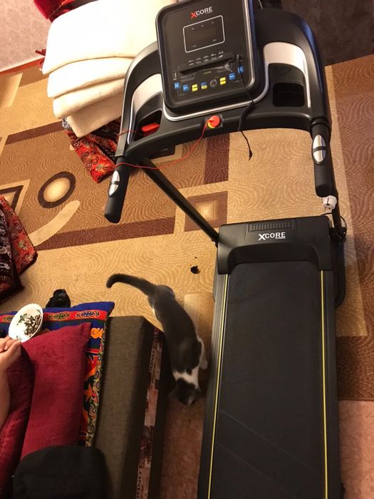 Беговая дорожка GOFIT Xcore HV242G