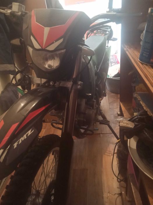 Эндурик XGZ250GY