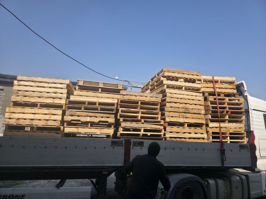 Paddon bor 40 ming dan