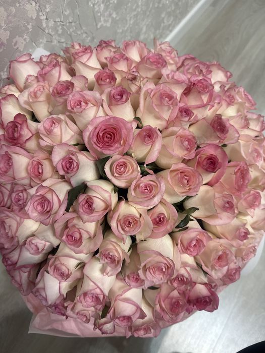 Розы метровые 15000