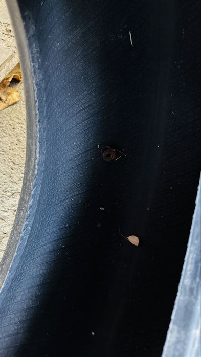 Летняя резина ChaoYang