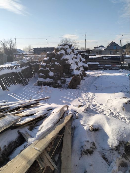 Продам сено житняк