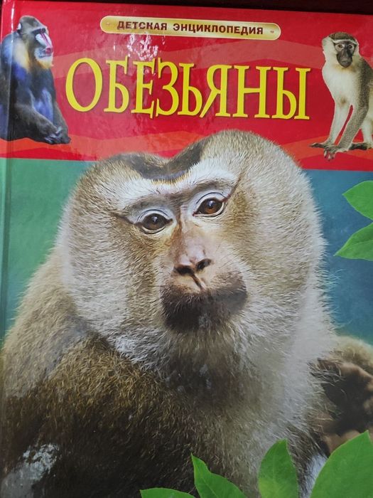 Детские, познавательные книги