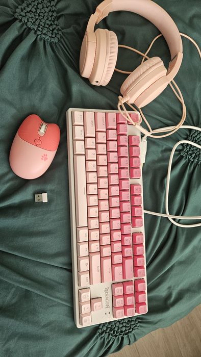 tastatura,  mouse si casti fetite