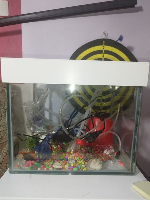 Продам аквариум 8000 тг.