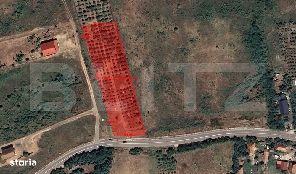 Teren intravilan - 4200 mp, parcelabil, construibil, cu livada, Rascru