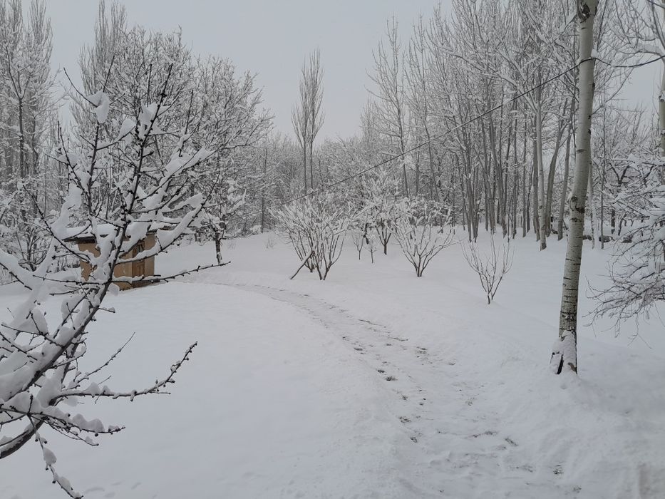 Dacha uchun yer bósyonliqda Xondoyliqda