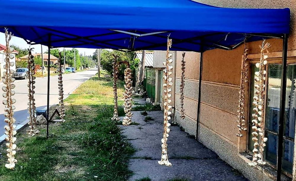 Български зимен чесън собствено производство! Без химикали и пестециди