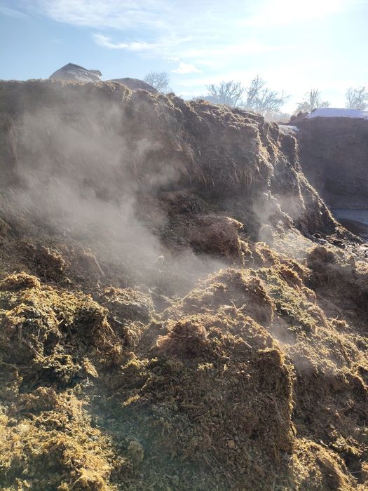 Силас кукуруза жом барда