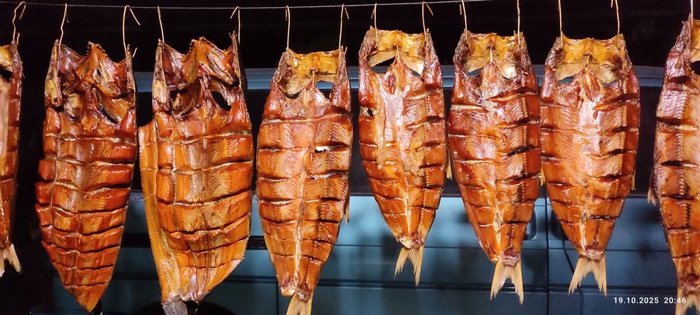 Семіз әйелдерге арналған БДСМ