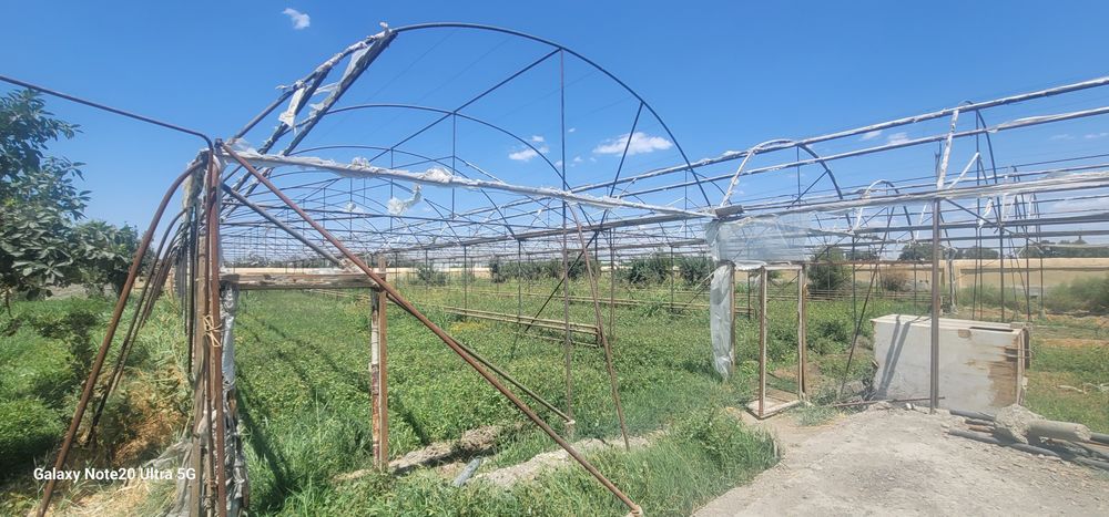 Parnik siotiladi 10 sotix