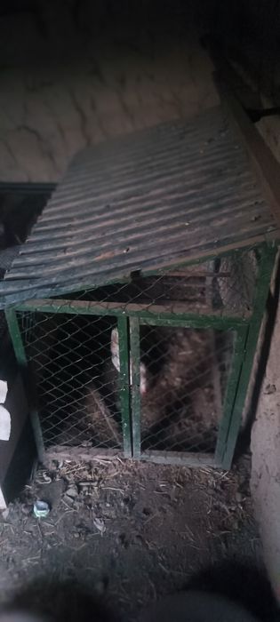 Клетка для курей и петухов