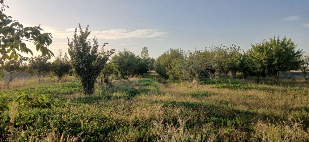 1,5 гектар ери билан омборхона сотилади самарқанд вил Оқдарё туманида