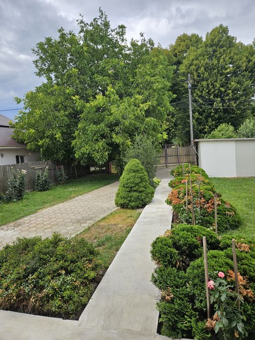 Casã Lilieci,Bacau