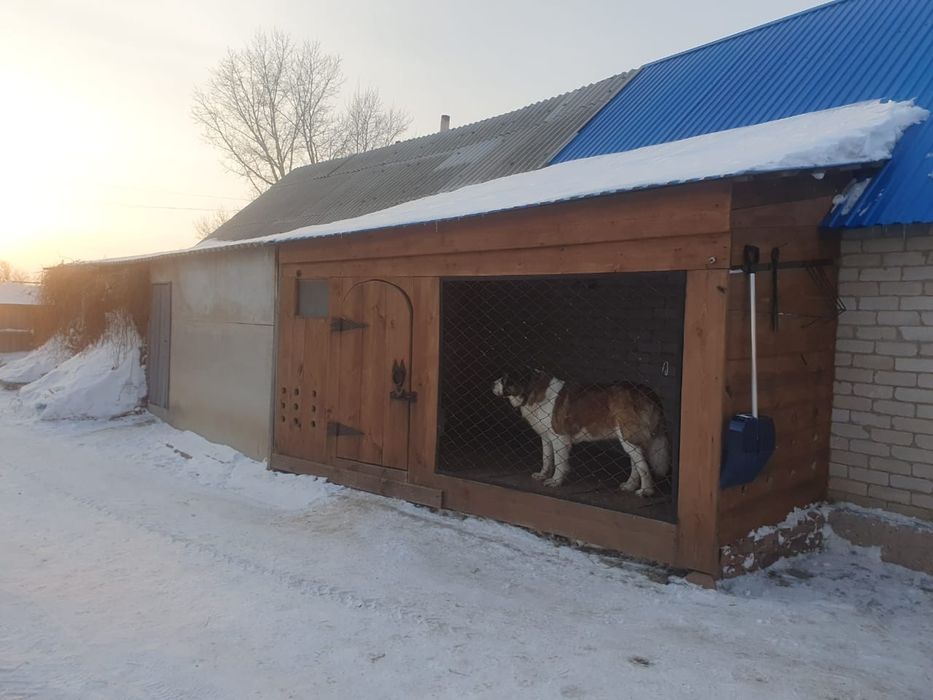 Продам дом в   селе  Урюпинка