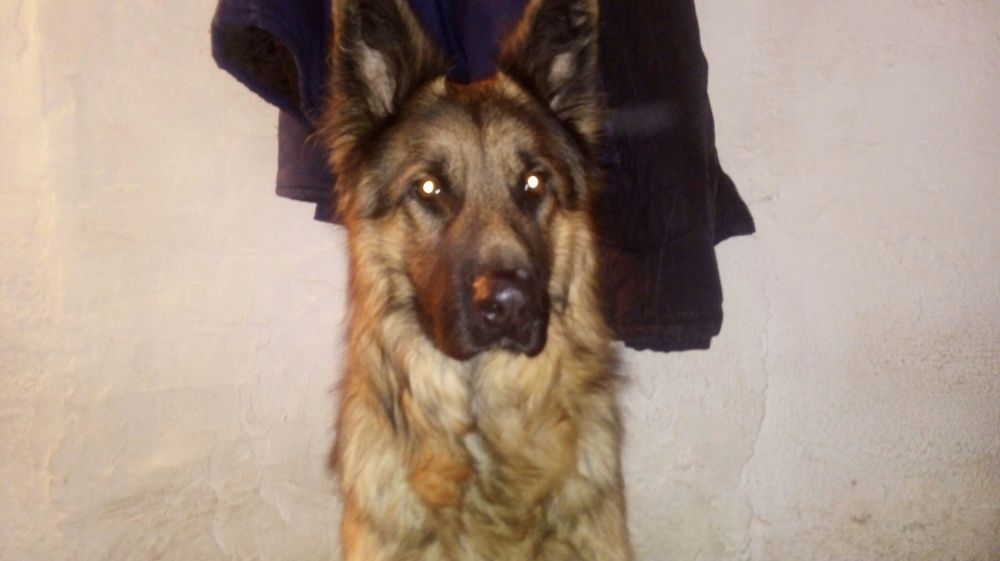 Вязка кабель 40 000