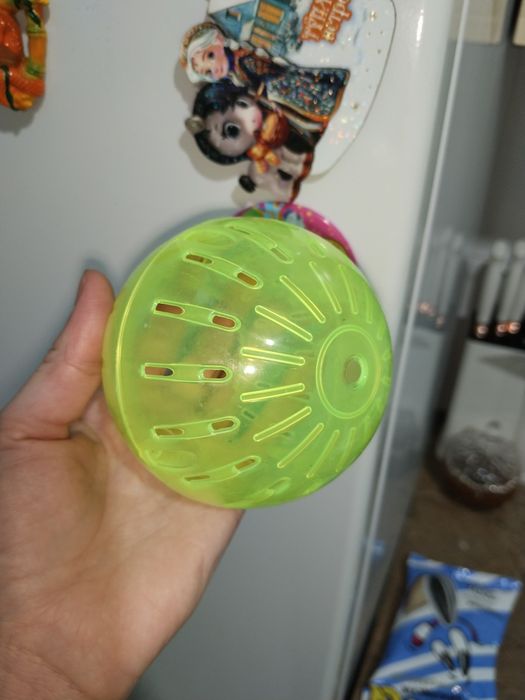 Хомяк джунгарский (девочка) вместе с клеткой