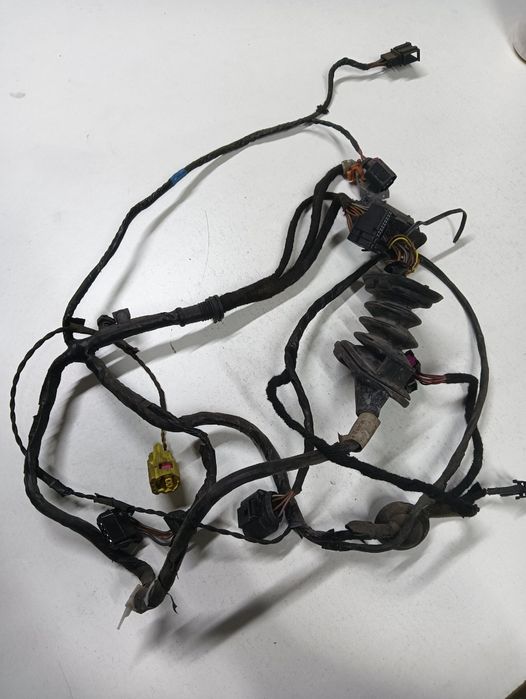 Instalatie Electrica Usa Stanga Fata Seat Altea Xl 5P5, 5P8 2006 - >