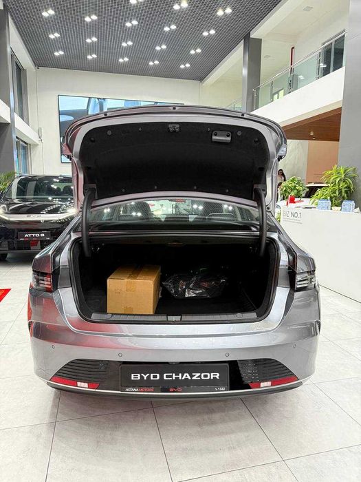 BYD Chazor 55 km luxe