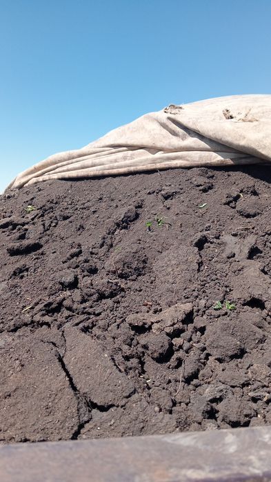 Продам перегное,чернозем