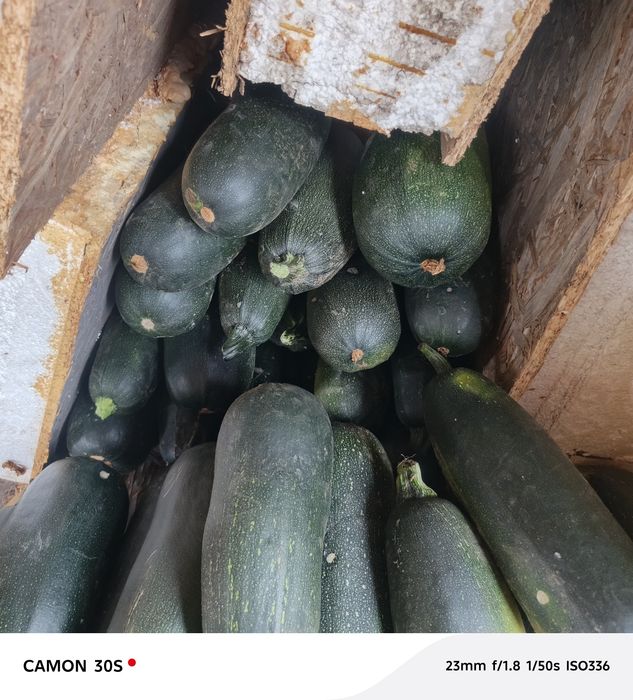 Кабачки с доставкой