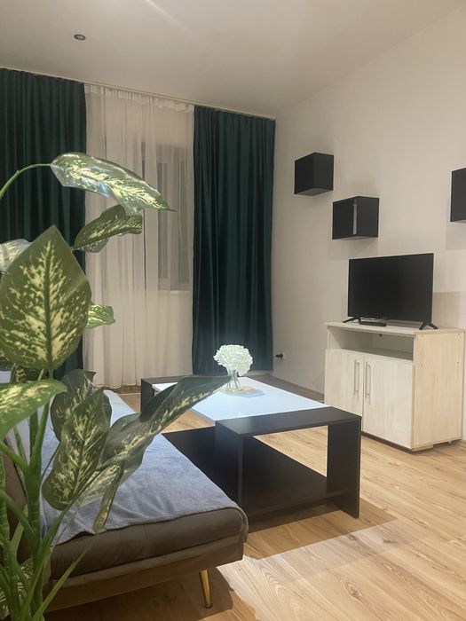 Cazare regim hotelier Rin Grand Hotel