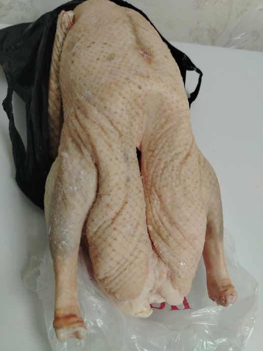 Продам свежие тушки домашних гусей.