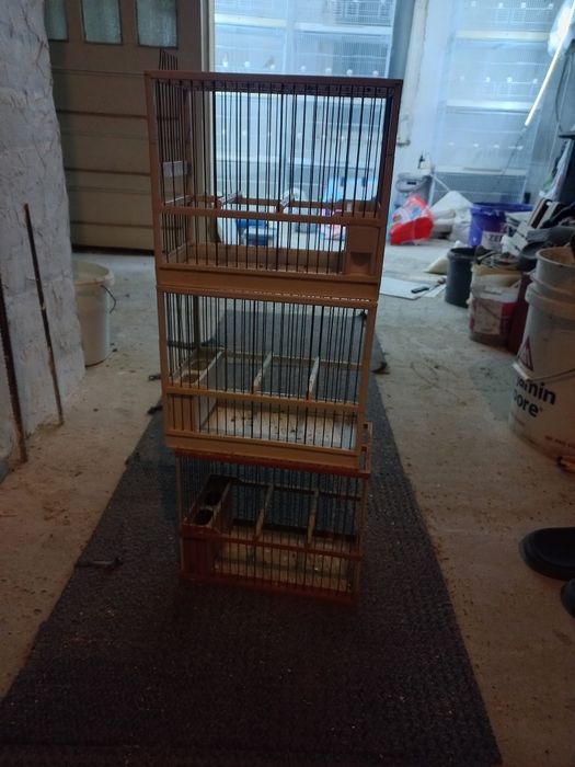 Colivii c2  de cântec