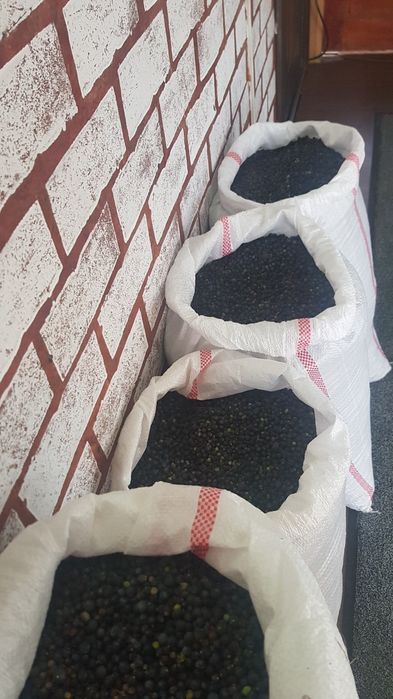 vand boabe de ienupar