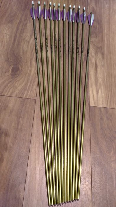 Sageti aluminiu Easton Genesis 1820 x12 buc