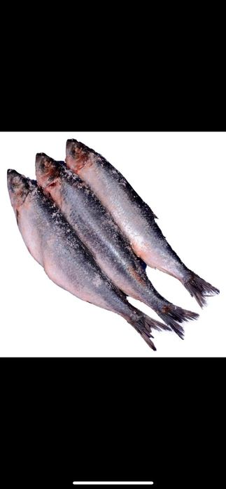 Сельдь (мороженная)