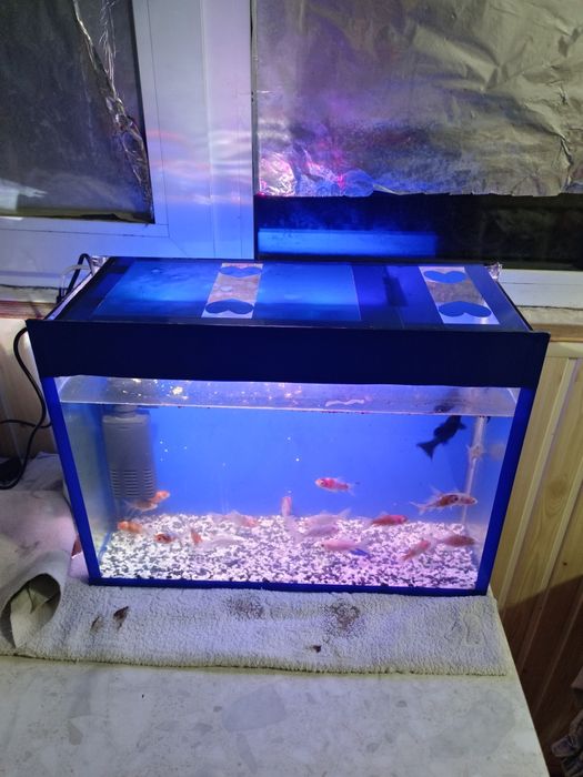 Akvarium komplekt 40Litr