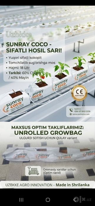 Kakosviy torflar bor