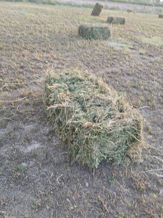 Беда (йуринжо сотилоди 200 кип 25 мингдан