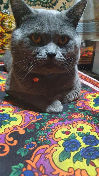 Yalangoch aktrisa Valentina Smirnova