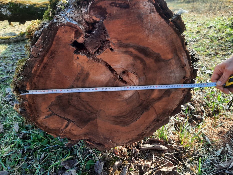 Blaturi nuc pentru mese de cafea   / rondele nuc, mesteacan , arin