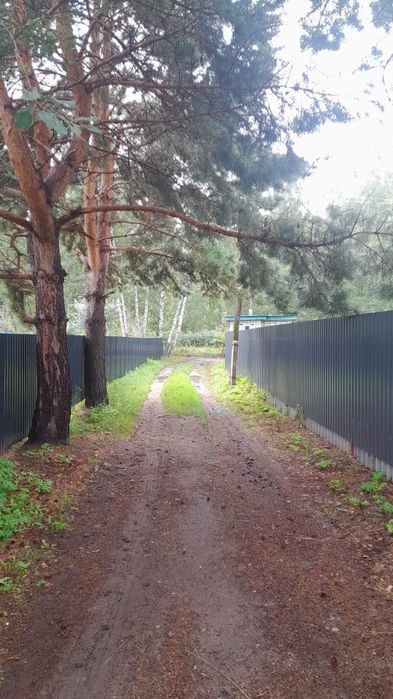 Продам дачу срочно !!!