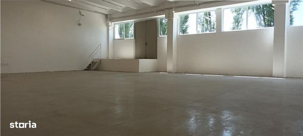 Hala industriala productie sau depozit cu rampa - Freidorf