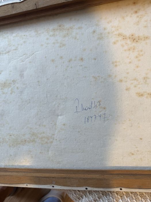 Pictura in ulei cu vedere la lac