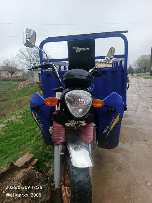 Lochin 2024 yil holati yaxshi