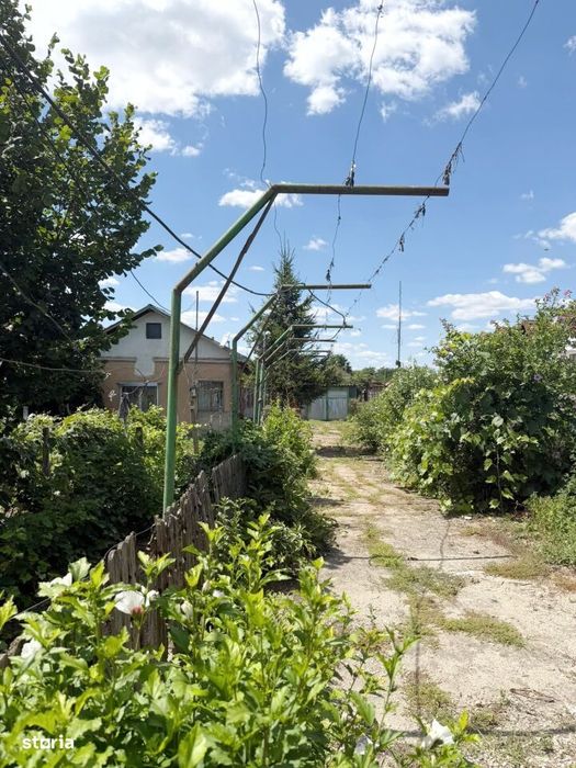 Teren 1593 Mp. - Str. Ac. Serban Cioculescu - Gaesti