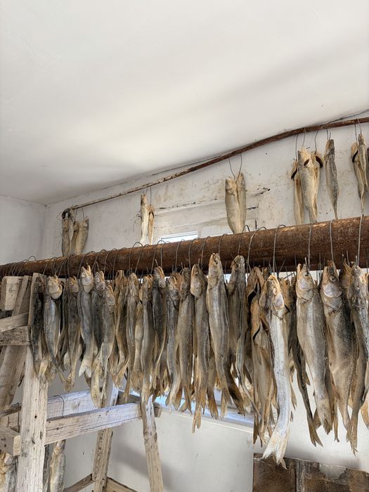 Судак кептырылген арзанга