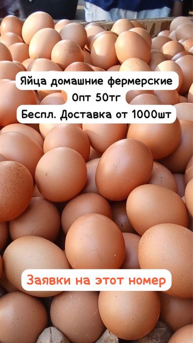Фермерское яйцо/домашняя ферма