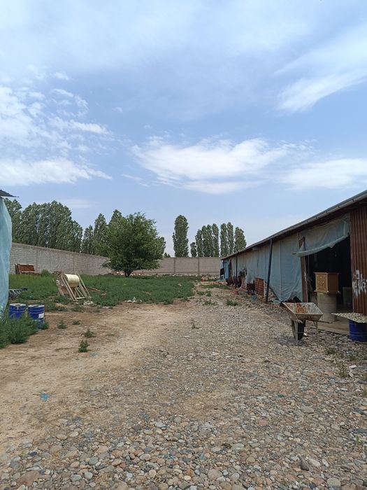 Ijaraga beriladi sex