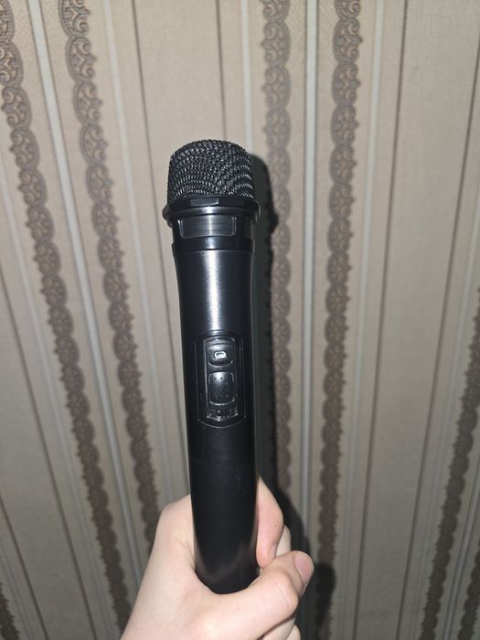 Мощная караоке калонка